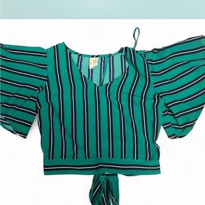 Japna Teal and Black Striped Blouse